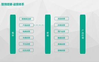 网站运营的核心要素与优化策略