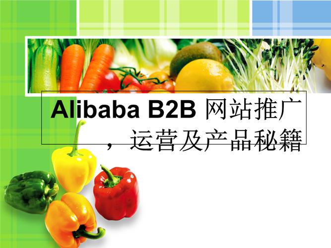 alibaba_b2b_网站推广_运营及产品秘籍讲解材料.ppt